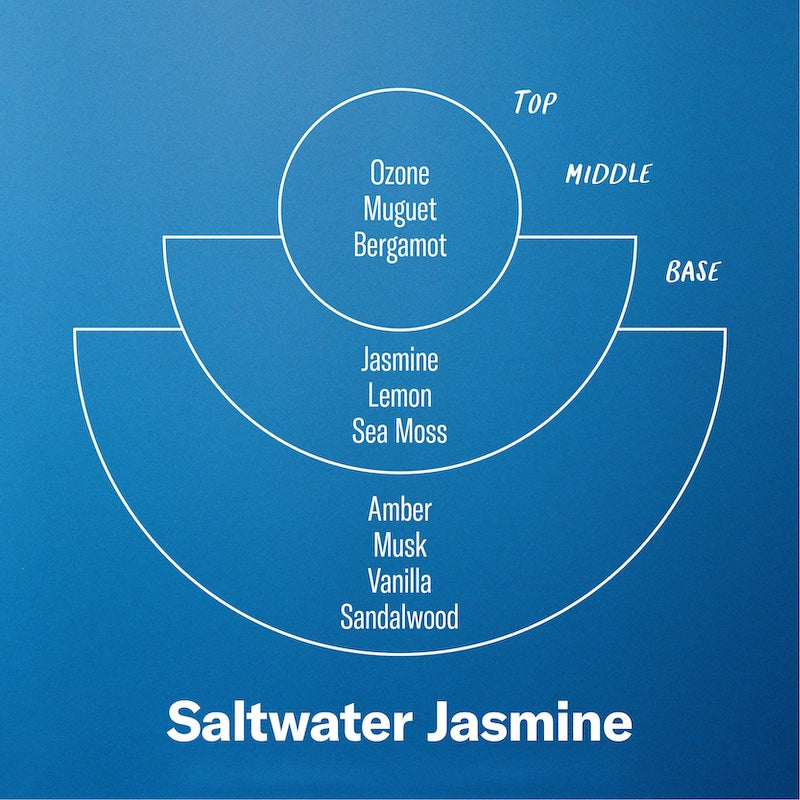 P.F. Candle Co. Saltwater Jasmine - Scent Notes - Top: Ozone, Muguet, Bergamot; Middle: Jasmine, Lemon, Sea Moss; Base: Amber, Musk, Vanilla, Sandalwood