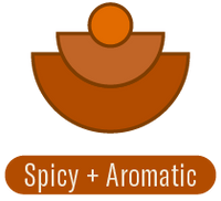 Fragrance Family - Spicy + Aromatic | P.F. Candle Co. LA