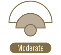 Scent Throw - Moderate | P.F. Candle Co. LA