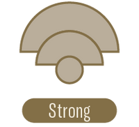 Scent Throw - Strong | P.F. Candle Co. LA