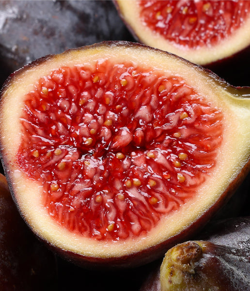 Fruity Scents Collection P.F. Candle Co. P. F. Candle Co.