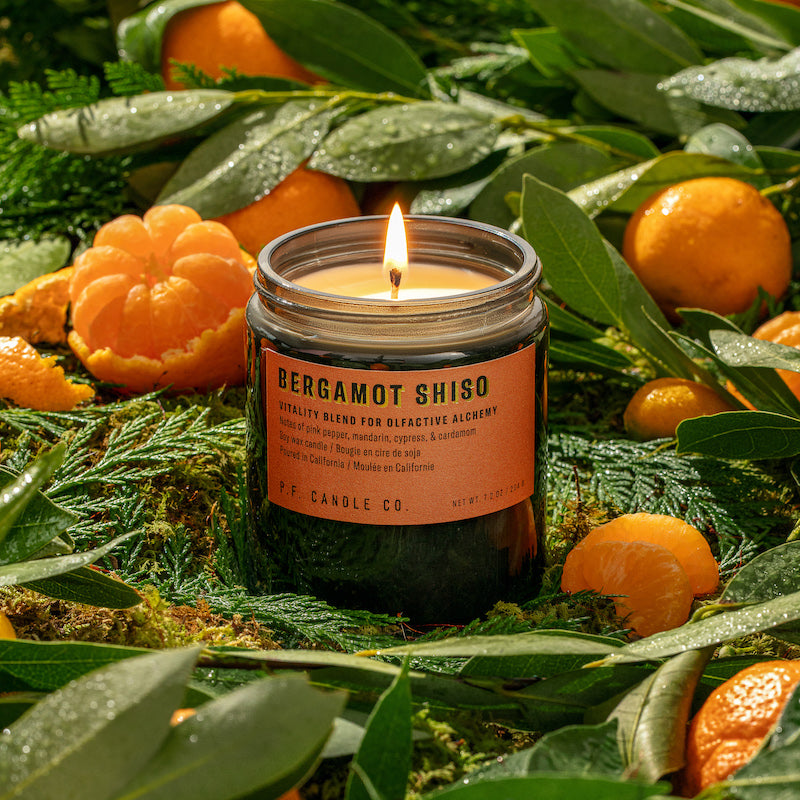 P.F. Candle Co. Bergamot Shiso Alchemy Candle - Lifestyle - A vitality blend designed to stimulate uplifting energy, with notes of pink pepper, mandarin, cypress, and cardamom. Inspired by the exuberance of fruiting citrus trees, formulated with upcycled mandarin and cardamom.