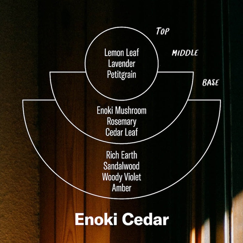 P.F. Candle Co. Enoki Cedar Alchemy Candle – P. F. Candle Co.