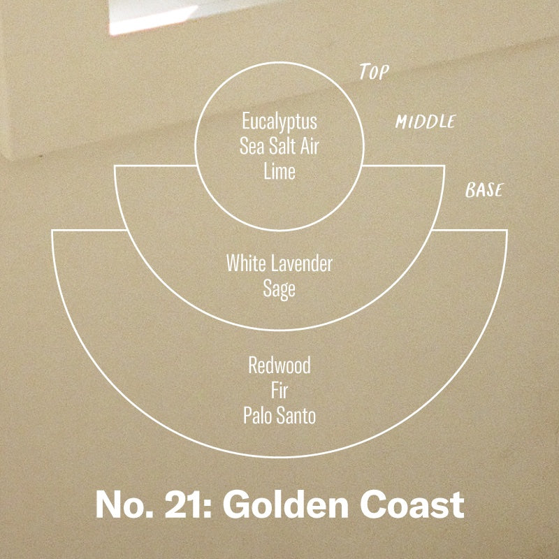 P.F. Candle Co. Golden Coast - Scent Notes - Top: Eucalyptus, Sea Salt Air, Lime; Middle: White Lavender, Sage; Base: Redwood, Fir, Palo Santo