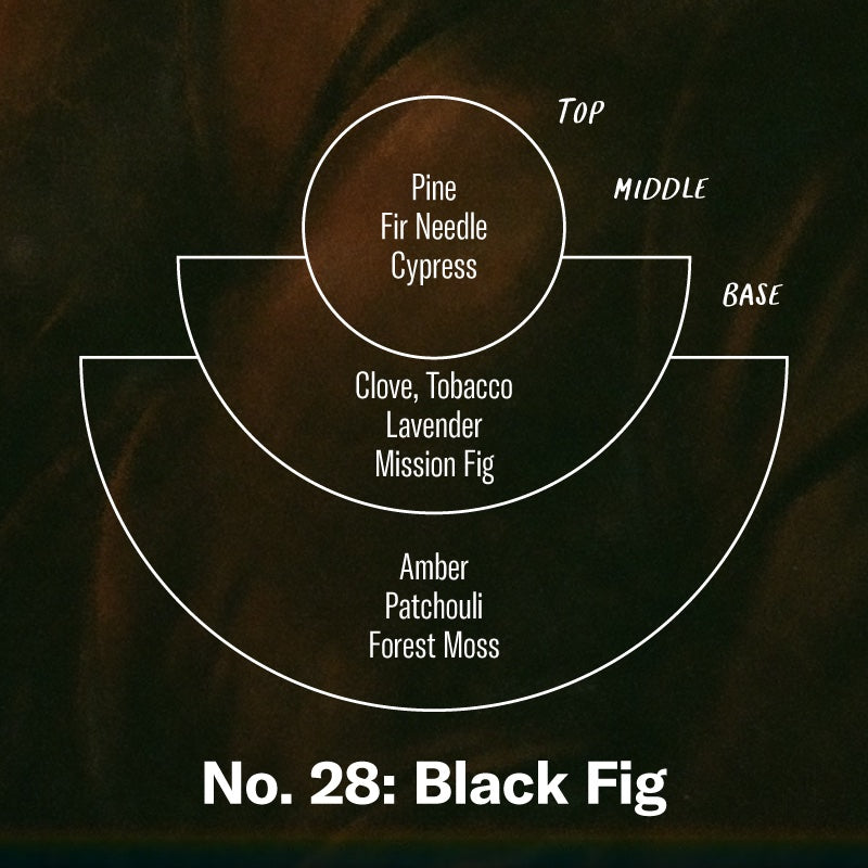 P.F. Candle Co. Black Fig - Scent Notes - Top: Pine, Fir Needle, Cypress; Middle: Clove, Tobacco, Lavender, Mission Fig; Base: Amber, Patchouli, Forest Moss