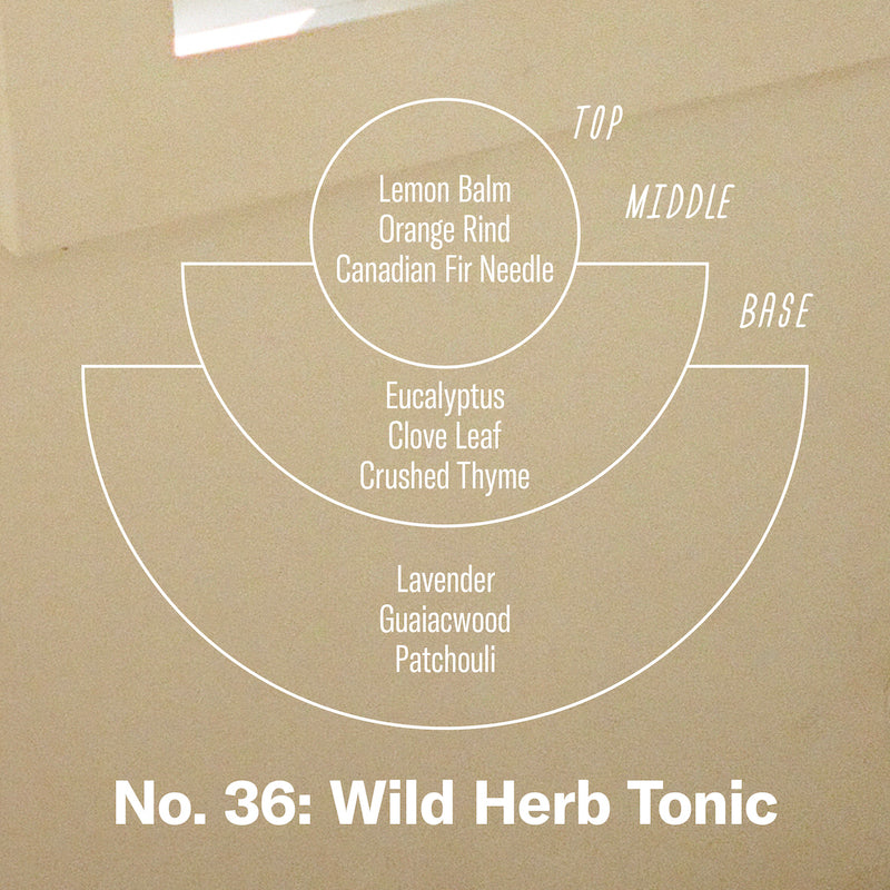 P.F. Candle Co. Wild Herb Tonic - Scent Notes - Top: Lemon Balm, Orange Rind, Canadian Fir Needle; Middle: Eucalyptus, Clove Leaf, Crushed Thyme; Base: Lavender, Guaiacwood, Patchouli