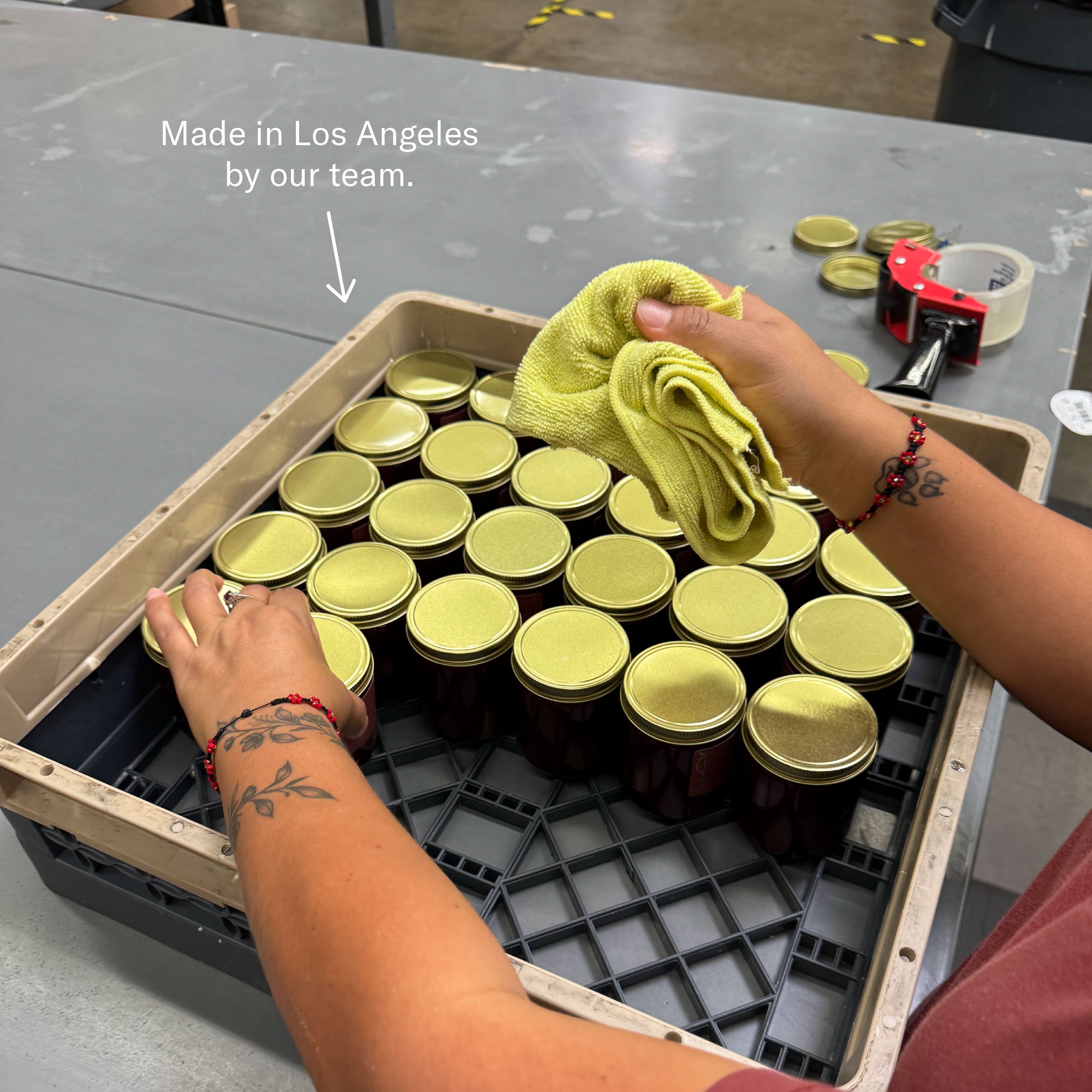 equinox collection made in los angeles by our team.