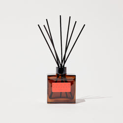 Plush Vetiver– HI-FI Reed Diffuser