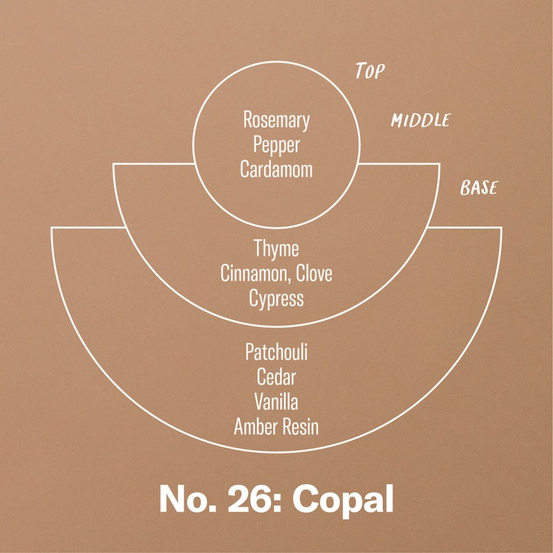 P.F. Candle Co. Copal - Scent Notes - Top: Rosemary, Pepper, Cardamom; Middle: Thyme, Cinnamon, Clove, Cypress; Base: Patchouli, Cedar, Vanilla, Amber Resin