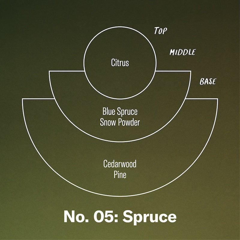 P.F. Candle Co. Spruce - Scent Notes - Top: Citrus; Middle: Blue Spruce, Snow Powder; Base: Cedarwood, Pine