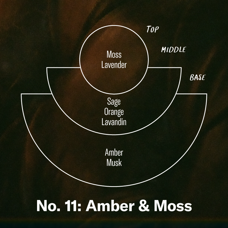 P.F. Candle Co. Los Angeles - Tried & True Bundle - Amber & Moss - Top: Moss, Lavender; Middle: Sage, Orange, Lavandin; Base: Amber, Musk